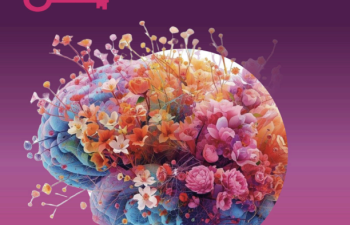 Afbeelding Brein in Bloei